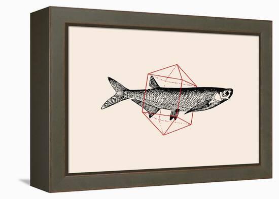 Fish in Geometrics Nº2-Florent Bodart-Framed Premier Image Canvas