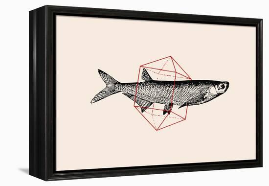 Fish in Geometrics Nº2-Florent Bodart-Framed Premier Image Canvas