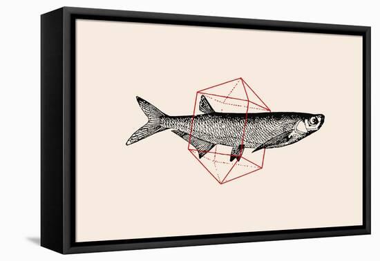 Fish in Geometrics Nº2-Florent Bodart-Framed Premier Image Canvas