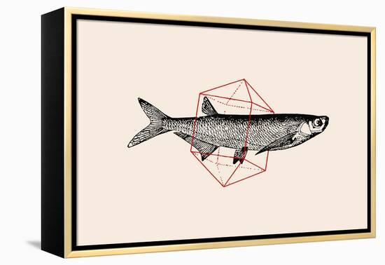 Fish in Geometrics Nº2-Florent Bodart-Framed Premier Image Canvas