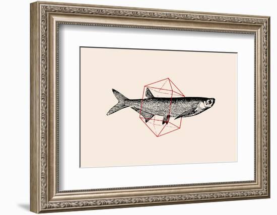 Fish in Geometrics Nº2-Florent Bodart-Framed Photographic Print