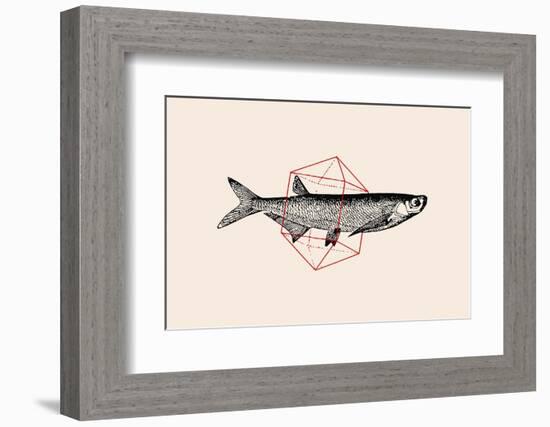 Fish in Geometrics Nº2-Florent Bodart-Framed Photographic Print