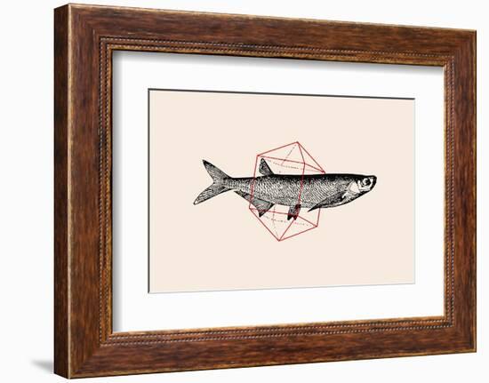 Fish in Geometrics Nº2-Florent Bodart-Framed Photographic Print