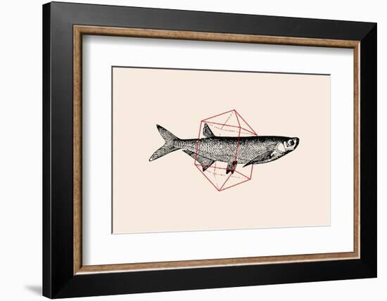 Fish in Geometrics Nº2-Florent Bodart-Framed Photographic Print