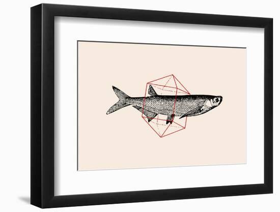 Fish in Geometrics Nº2-Florent Bodart-Framed Photographic Print