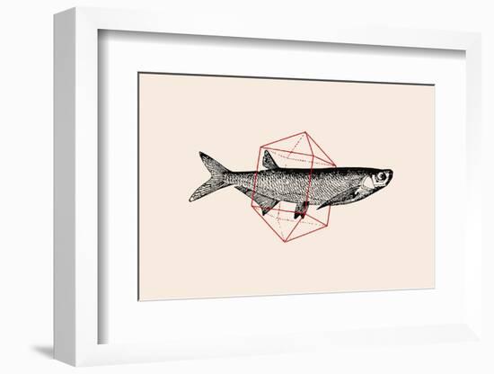Fish in Geometrics Nº2-Florent Bodart-Framed Photographic Print
