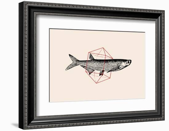 Fish in Geometrics Nº2-Florent Bodart-Framed Photographic Print