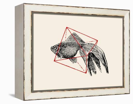 Fish in Geometrics Nº3-Florent Bodart-Framed Premier Image Canvas