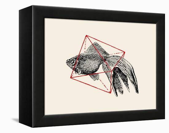 Fish in Geometrics Nº3-Florent Bodart-Framed Premier Image Canvas