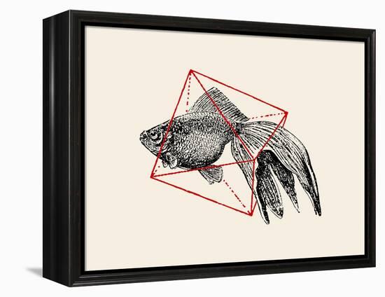 Fish in Geometrics Nº3-Florent Bodart-Framed Premier Image Canvas