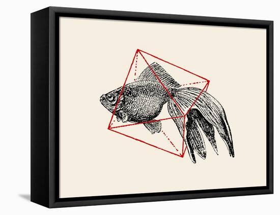 Fish in Geometrics Nº3-Florent Bodart-Framed Premier Image Canvas