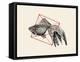 Fish in Geometrics Nº3-Florent Bodart-Framed Premier Image Canvas