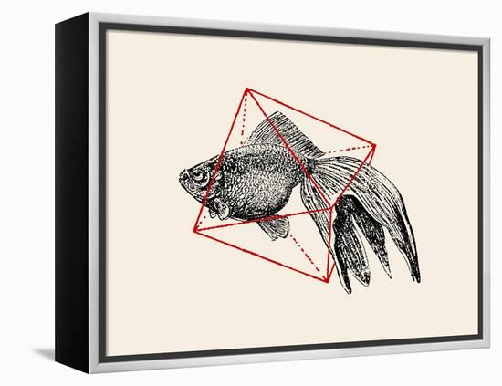 Fish in Geometrics Nº3-Florent Bodart-Framed Premier Image Canvas