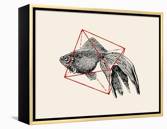 Fish in Geometrics Nº3-Florent Bodart-Framed Premier Image Canvas