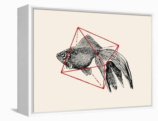 Fish in Geometrics Nº3-Florent Bodart-Framed Premier Image Canvas