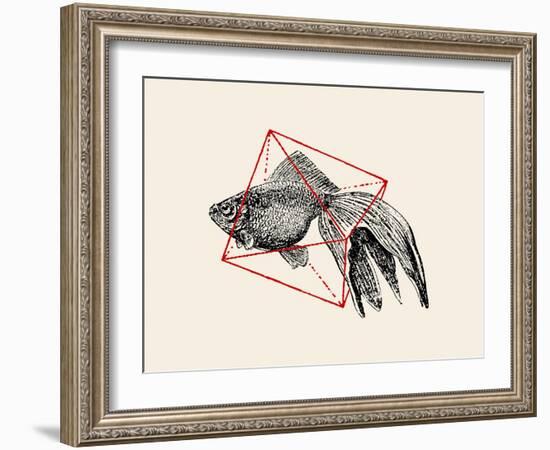 Fish in Geometrics Nº3-Florent Bodart-Framed Photographic Print