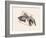 Fish in Geometrics Nº3-Florent Bodart-Framed Photographic Print