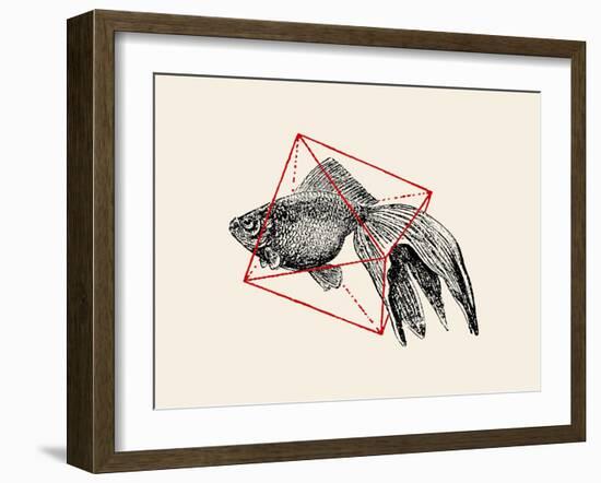 Fish in Geometrics Nº3-Florent Bodart-Framed Photographic Print