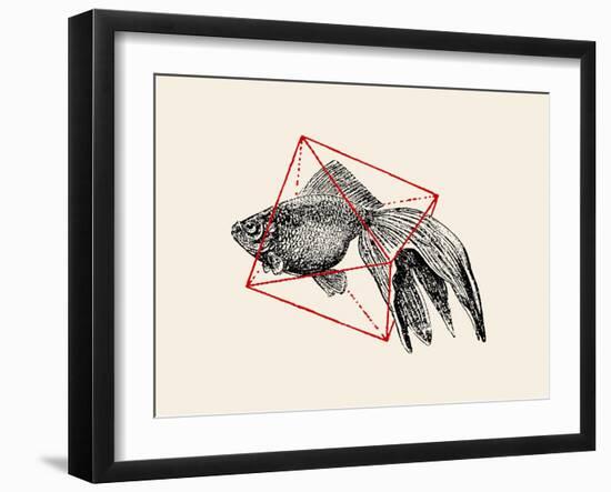 Fish in Geometrics Nº3-Florent Bodart-Framed Photographic Print