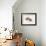 Fish in Geometrics Nº3-Florent Bodart-Framed Photographic Print displayed on a wall