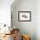 Fish in Geometrics Nº3-Florent Bodart-Framed Photographic Print displayed on a wall