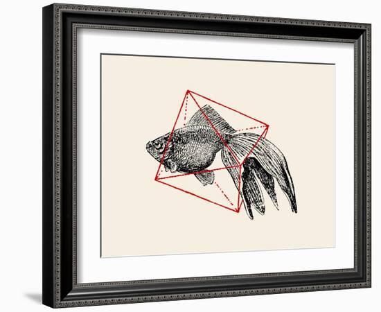 Fish in Geometrics Nº3-Florent Bodart-Framed Photographic Print