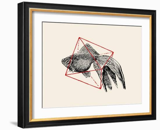 Fish in Geometrics Nº3-Florent Bodart-Framed Photographic Print