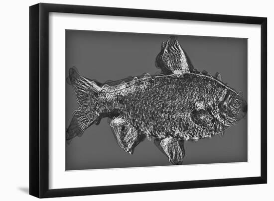 Fish in Grey,2020,(Mixed Media)-Alex Caminker-Framed Giclee Print