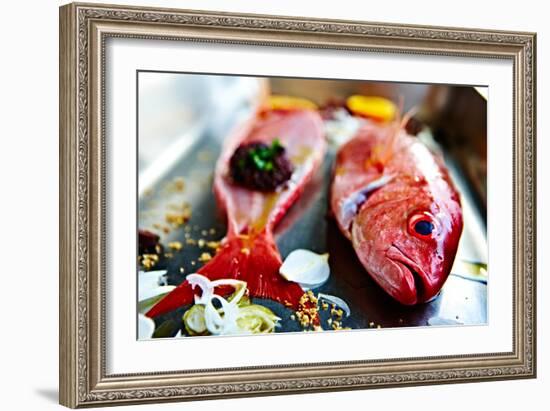 Fish IV-Peter Morneau-Framed Art Print