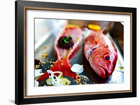 Fish IV-Peter Morneau-Framed Art Print