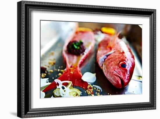 Fish IV-Peter Morneau-Framed Art Print