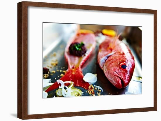 Fish IV-Peter Morneau-Framed Art Print