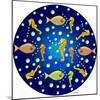 Fish Mandala XXVI-David Sheskin-Mounted Giclee Print