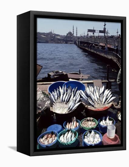 Fish Market, Galata Bridge, Istanbul, Turkey, Eurasia-Adam Woolfitt-Framed Premier Image Canvas