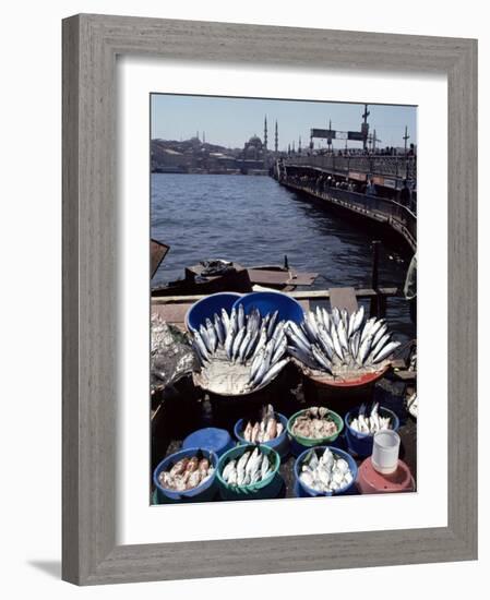 Fish Market, Galata Bridge, Istanbul, Turkey, Eurasia-Adam Woolfitt-Framed Photographic Print