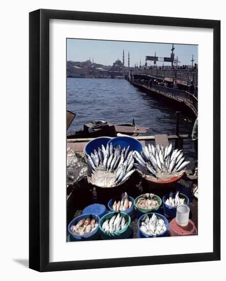 Fish Market, Galata Bridge, Istanbul, Turkey, Eurasia-Adam Woolfitt-Framed Photographic Print