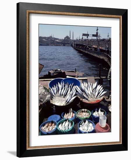 Fish Market, Galata Bridge, Istanbul, Turkey, Eurasia-Adam Woolfitt-Framed Photographic Print