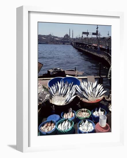 Fish Market, Galata Bridge, Istanbul, Turkey, Eurasia-Adam Woolfitt-Framed Photographic Print