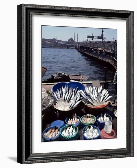 Fish Market, Galata Bridge, Istanbul, Turkey, Eurasia-Adam Woolfitt-Framed Photographic Print