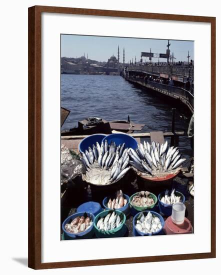 Fish Market, Galata Bridge, Istanbul, Turkey, Eurasia-Adam Woolfitt-Framed Photographic Print