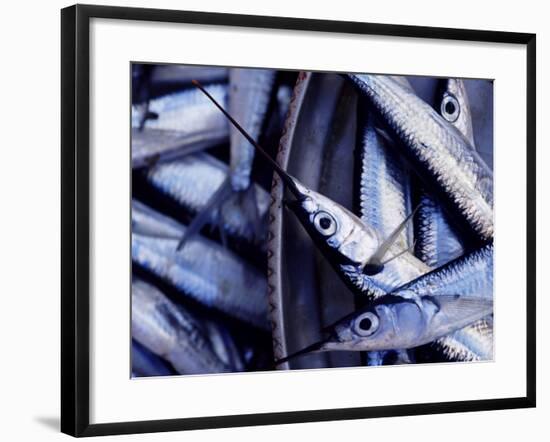 Fish Market, Stone Town, Island of Zanzibar, Tanzania, East Africa, Africa-Yadid Levy-Framed Photographic Print