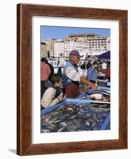 Fish Market, Vieux Port, Marseille, Bouches Du Rhone, Provence, France-Guy Thouvenin-Framed Photographic Print