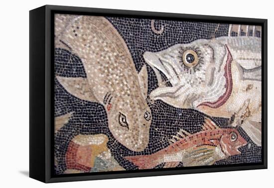 Fish Mosaic-null-Framed Stretched Canvas
