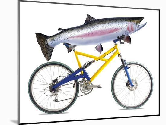 Fish on a Bicycle-Tony McConnell-Mounted Photographic Print