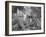 Fish out of Water-Thomas Barbey-Framed Giclee Print