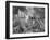 Fish out of Water-Thomas Barbey-Framed Giclee Print