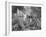 Fish out of Water-Thomas Barbey-Framed Giclee Print