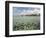 Fish, Porto De Galinhas, Pernambuco, Brazil-Anthony Asael-Framed Photographic Print