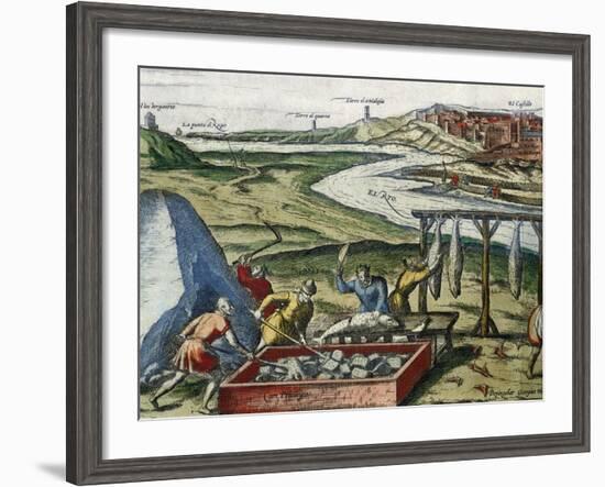 Fish Processing in Conil De La Frontera-null-Framed Giclee Print