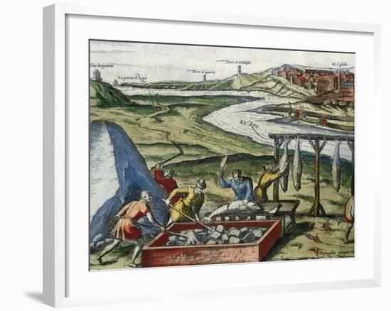 Fish Processing in Conil De La Frontera-null-Framed Giclee Print